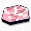 Pink Camo